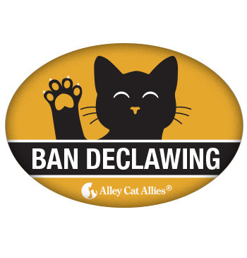 Ban Declawing Button (5 pack)