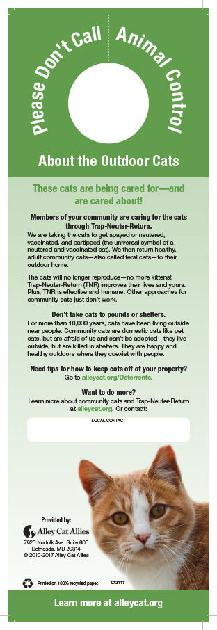 Feral Cats Rspca Returning A Cat Taking Store In Discount Stray