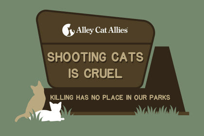 Shooting Cats is Cruel