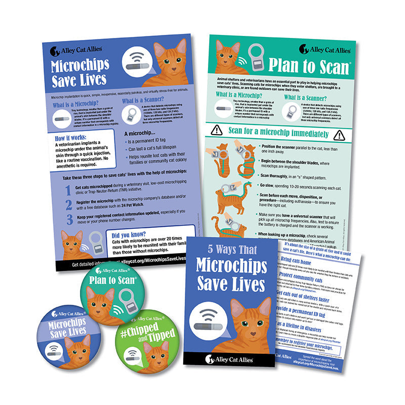 The Power of Microchips