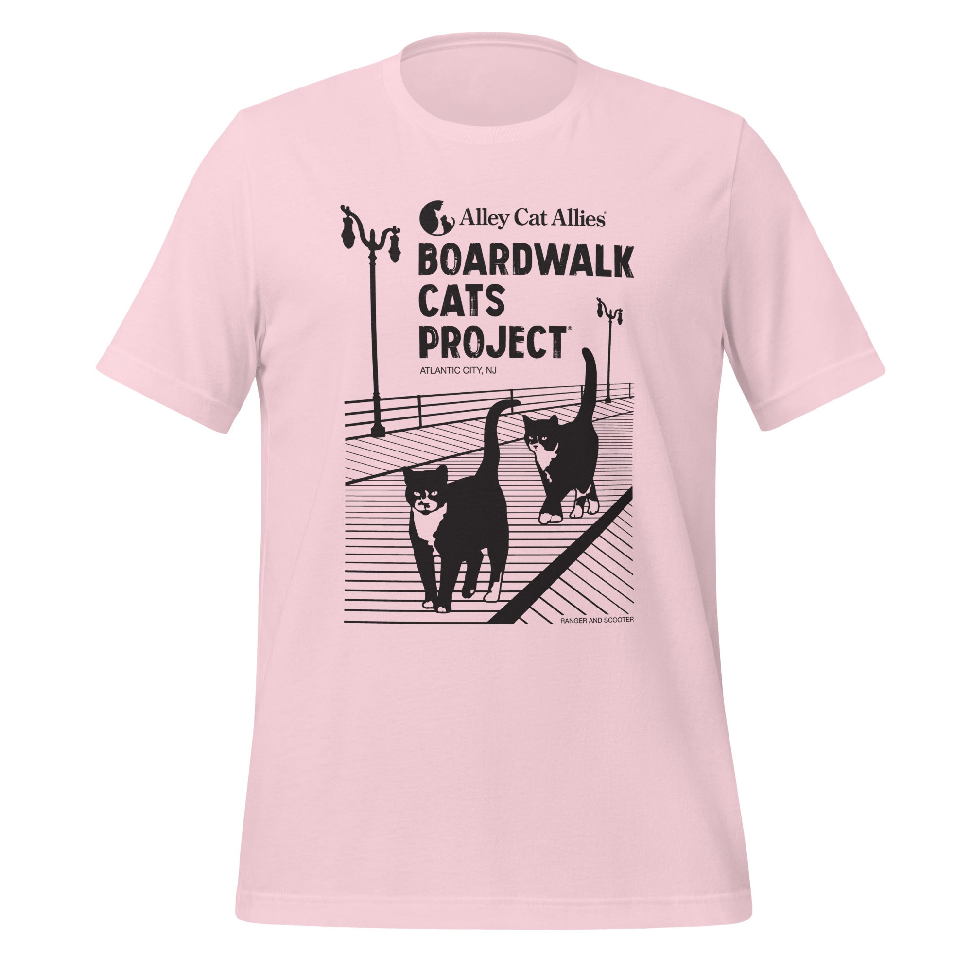 Boardwalk Cats Project