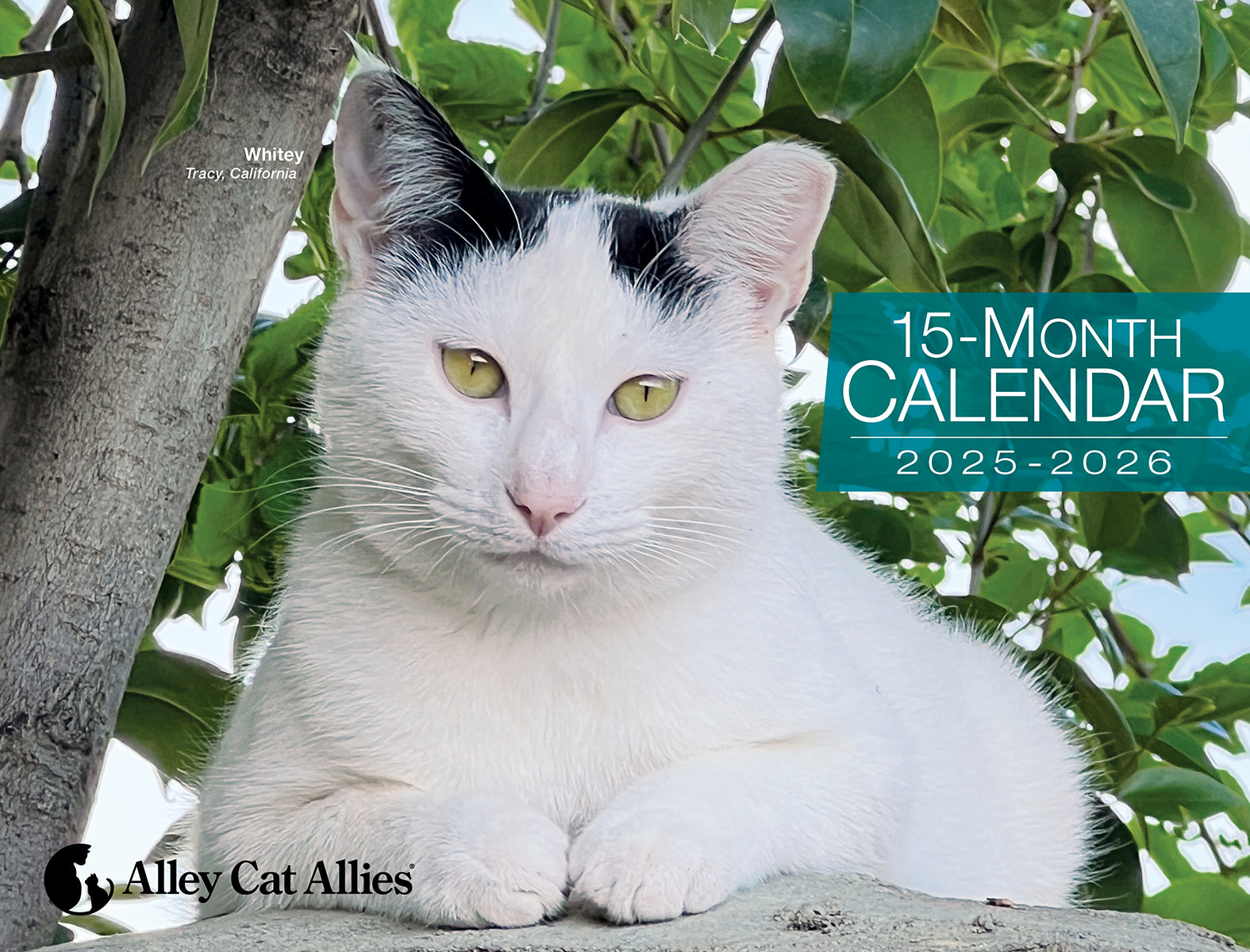 15 Month Calendar (2025-2026)