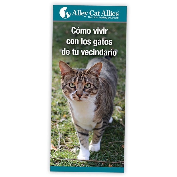 Cómo vivir con gatos en su vecindario 