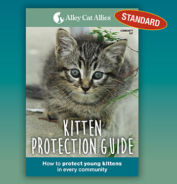 Kitten Protection Guide - Standard Edition