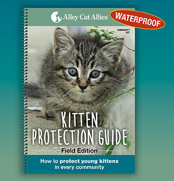 Kitten Protection Guide - Waterproof Edition