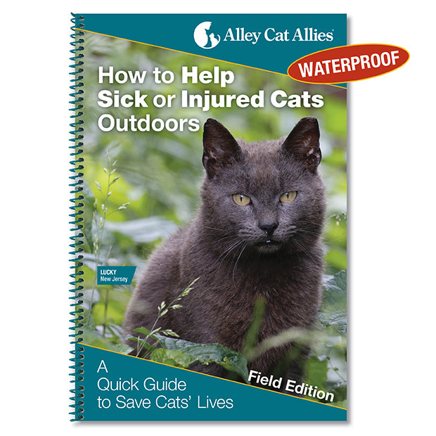 NEW: How to Help Sick or Injured Cats Outdoors