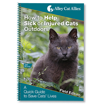 NEW: How to Help Sick or Injured Cats Outdoors