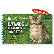 NEW: Share the Truth Pocket Guide – Spanish