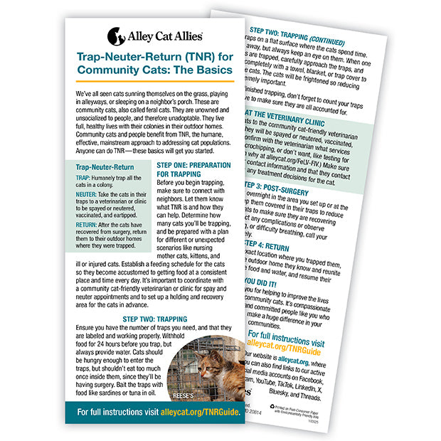 Trap-Neuter-Return for Community Cats: The Basics