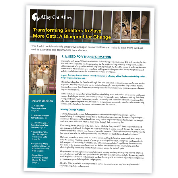 Transforming Shelters to Save More Cats: A Blueprint for Change