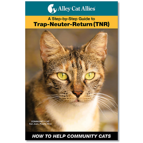How to Help Community Cats: A Step-by-Step Guide to Trap-Neuter-Return