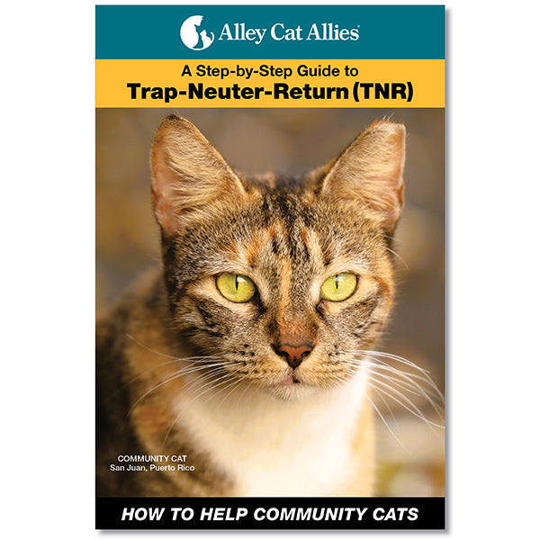 Stray Cat Ear Tnr Animal How To Help Community Cats: A Step-by