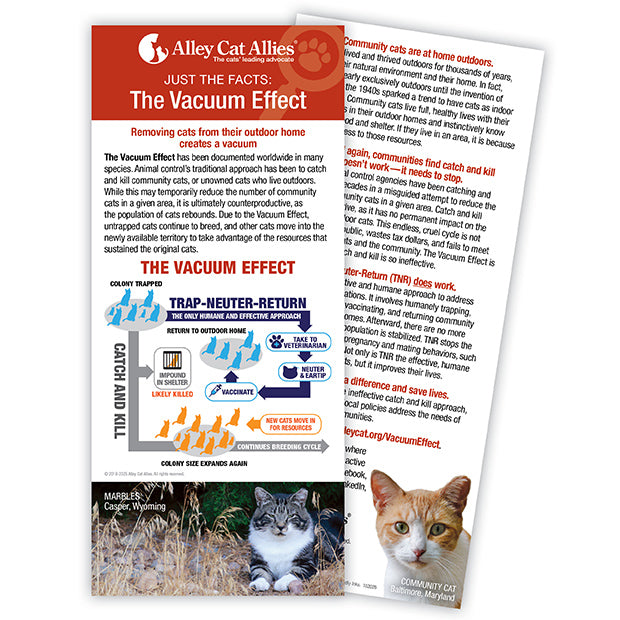 JUST THE FACTS: The Vacuum Effect