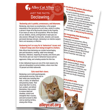 JUST THE FACTS: Declawing