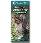 How to Live With Cats in Your Neighborhood