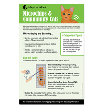 Microchips & Community Cats Poster