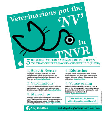 Vets Put the NV in TNVR Postcard (5 pack)