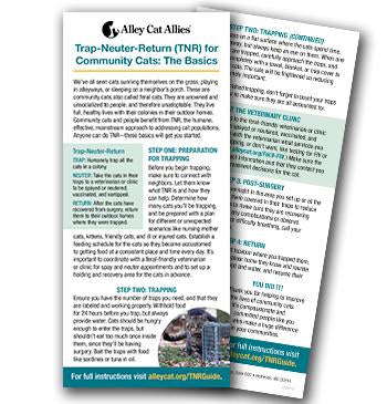 Helping Cats in Your Community Workshop Bundle - 2