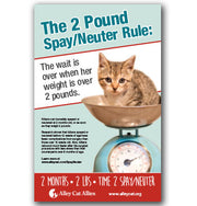 Pediatric Spay/Neuter Poster