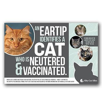 Feral Friends Network Bundle - 8