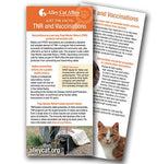 Helping Cats in Your Community Workshop Bundle - 6