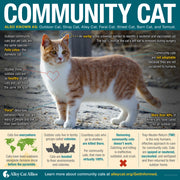 Community Cat Infographic Poster
