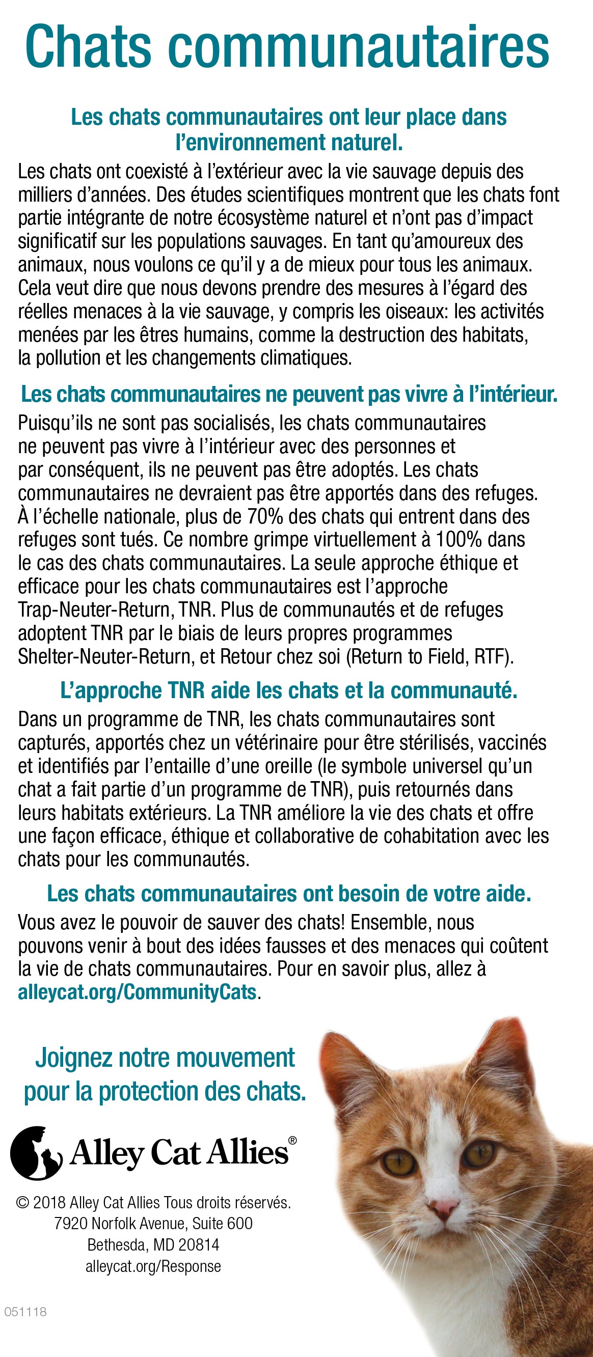 LES FAITS: Chats communautaires - 3