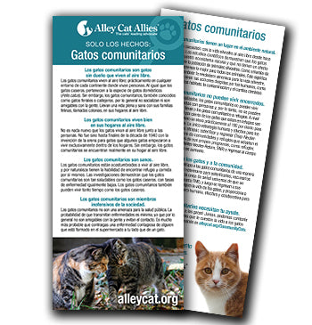 SOLO LOS HECHOS: Gatos comunitarios