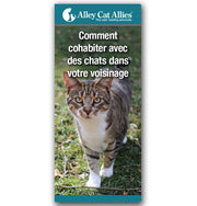 Comment cohabiter avec des chats dans votre vosinage
