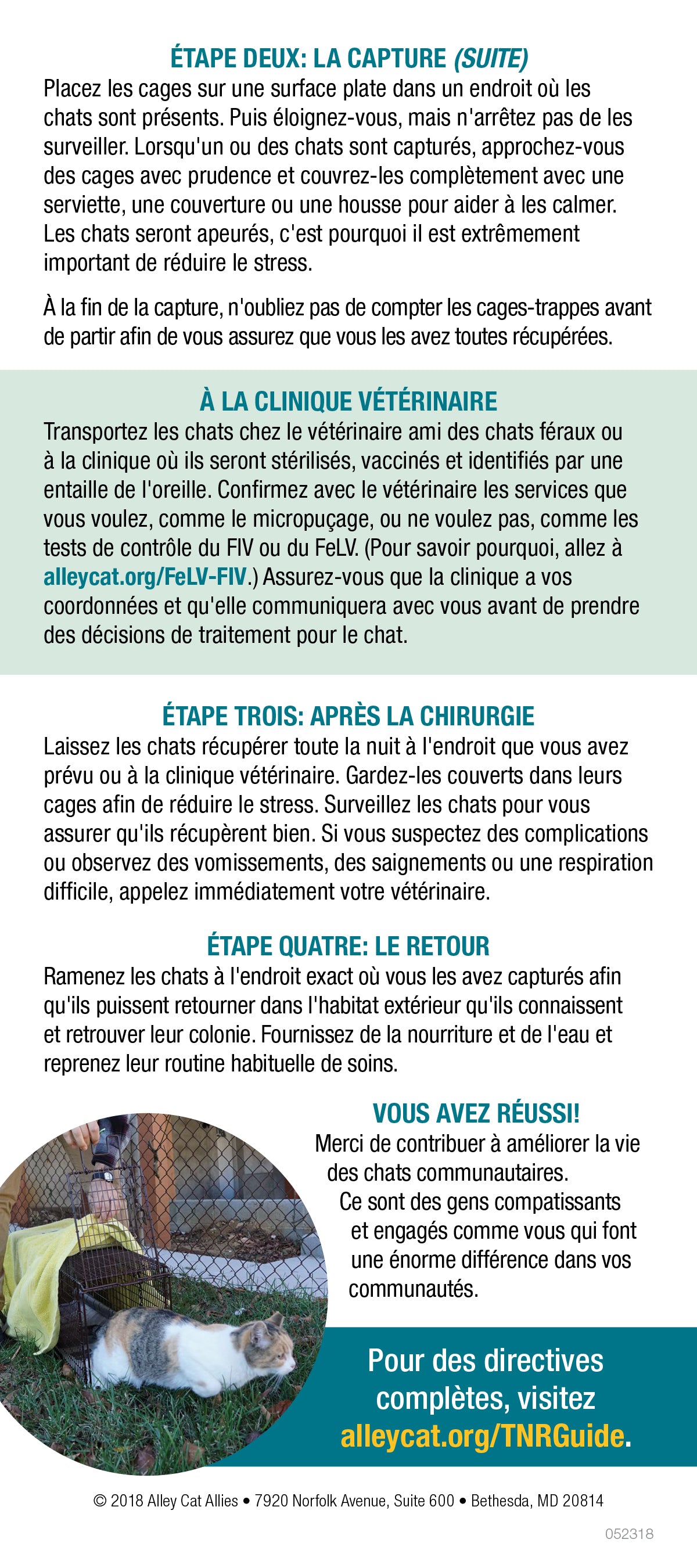 Capture-Stérilisation-Retour (TNR) pour les chats communautaires: notions de base - 3