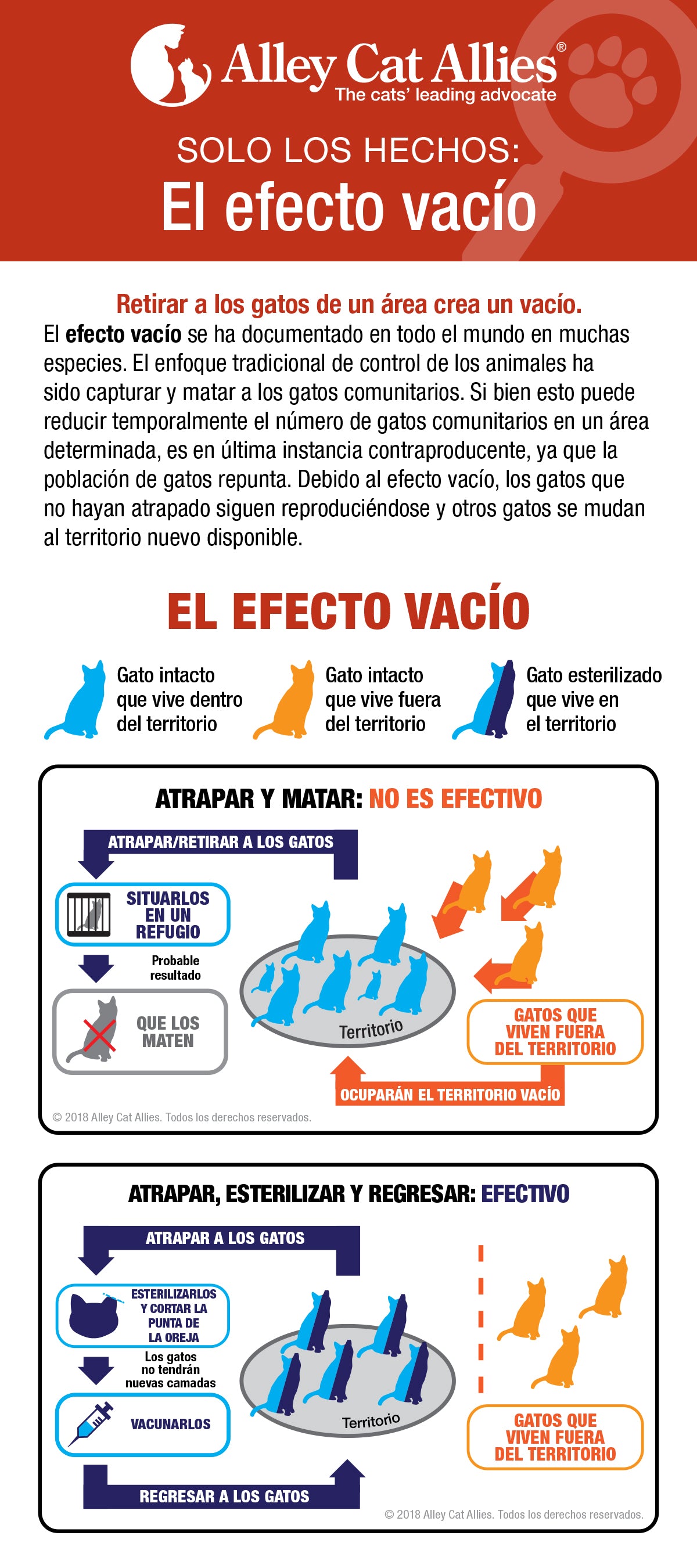 SOLO LOS HECHOS: El Efecto Vacío - 2